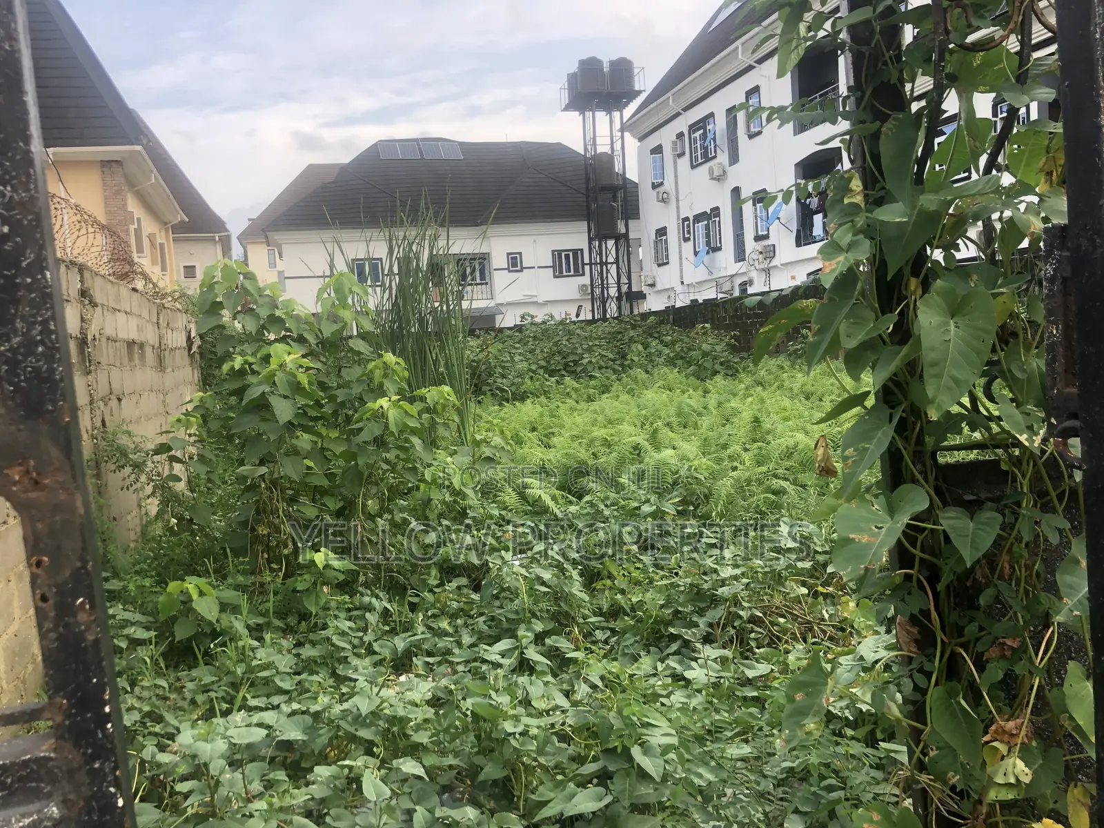 Full Plot of Land Forsale in Ago