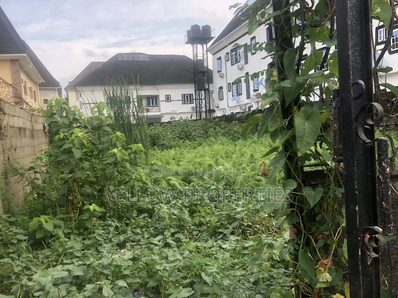 Full Plot of Land Forsale in Ago