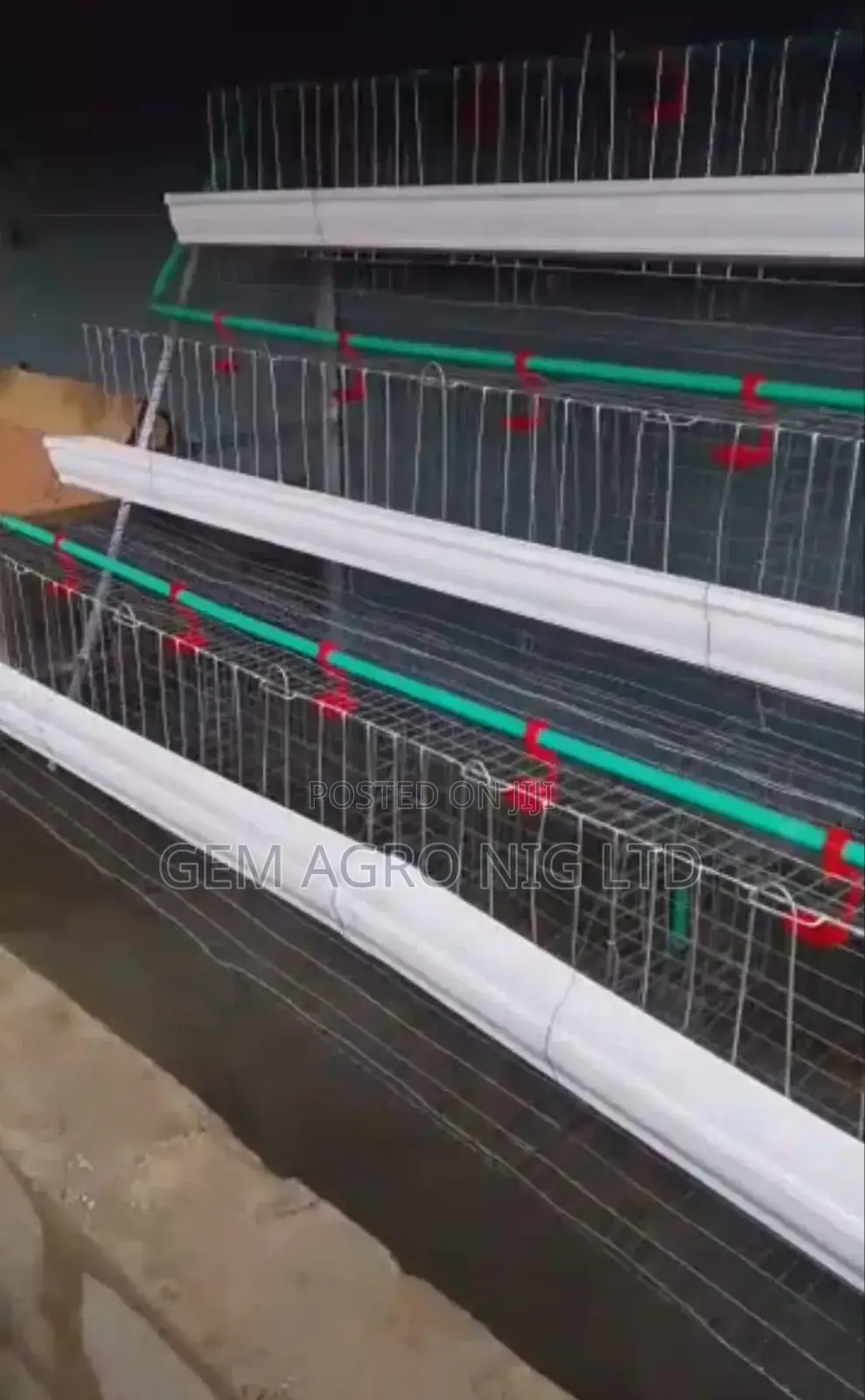 'H' Type Layers Battery Cage