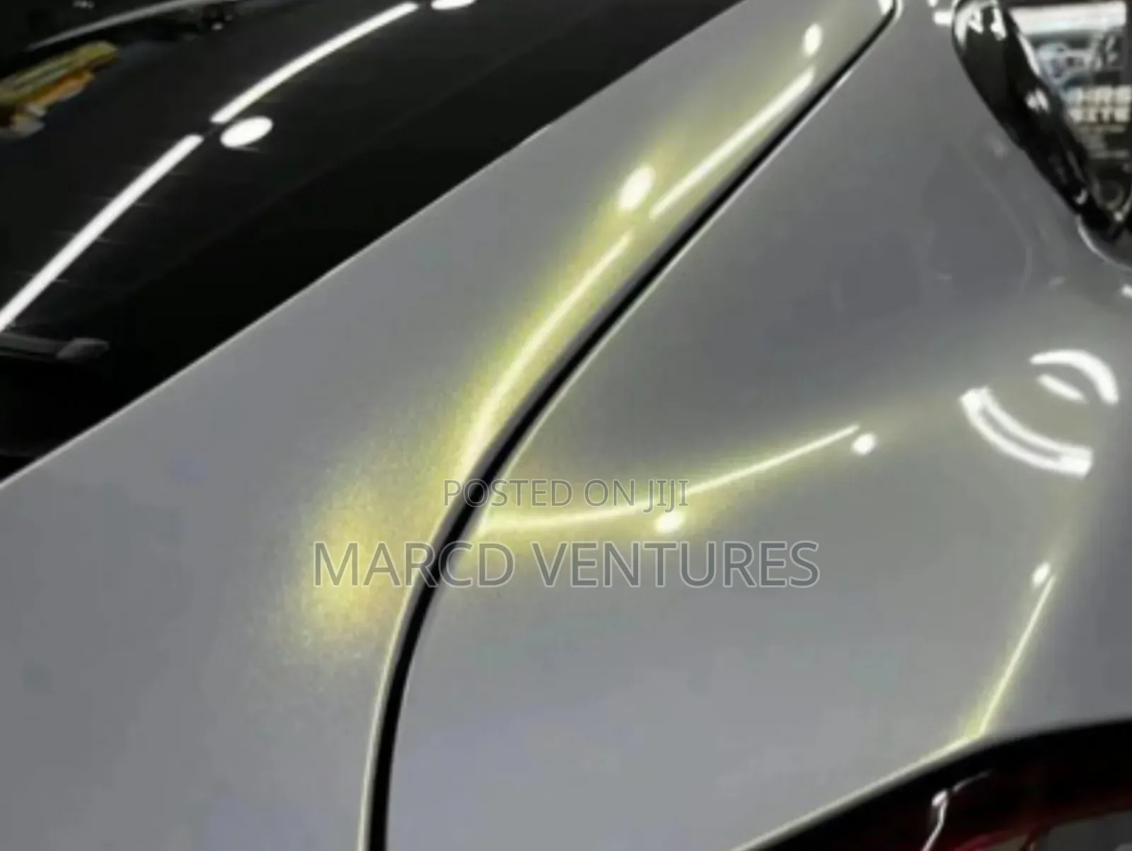 White Diamond Stone Pet Car Body Protective Film Wrap