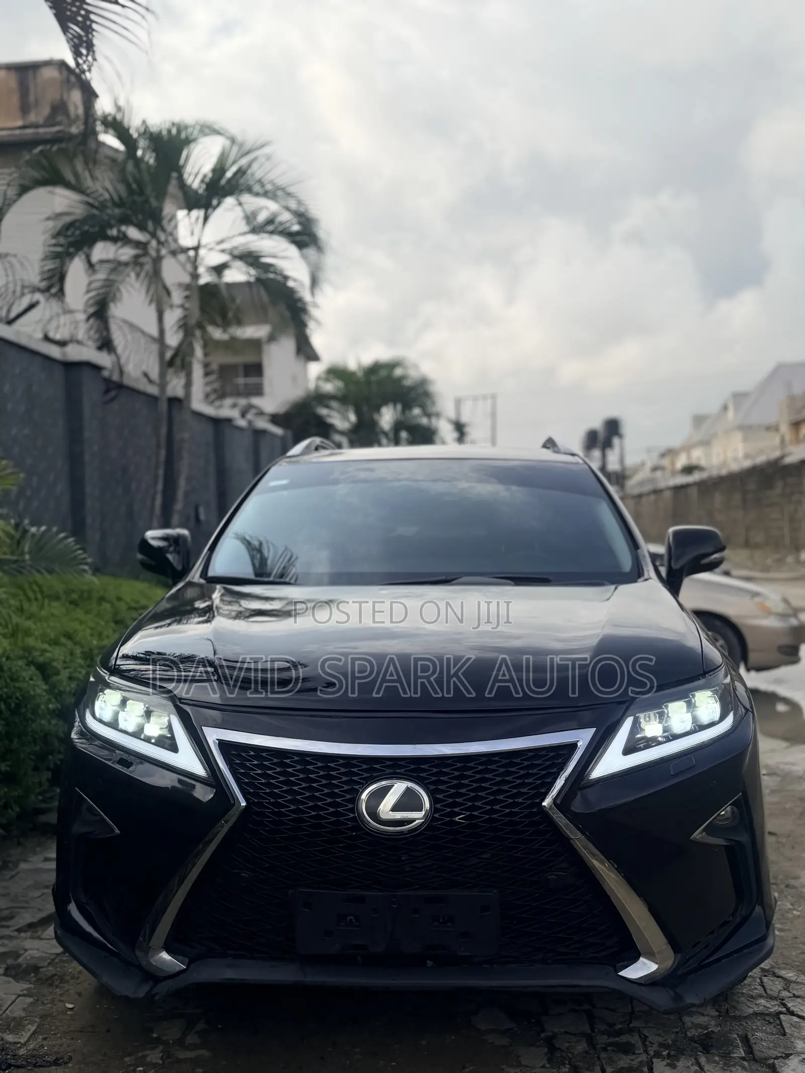Lexus RX 2013 Black