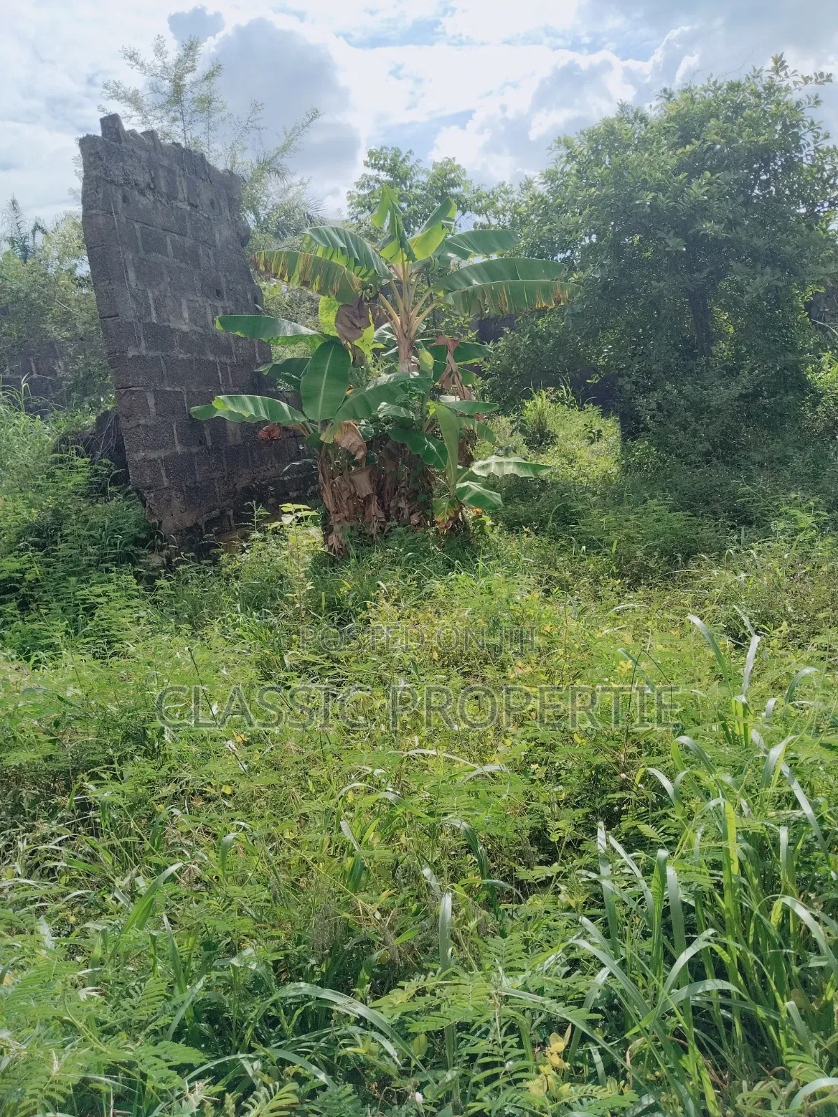 Classic Properties at Commissioner Quarter Awka