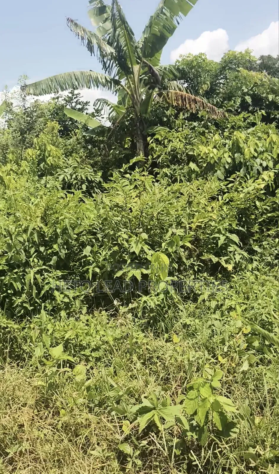 A Plot Half of Land for Sale at Elenu Sonso Ibadan