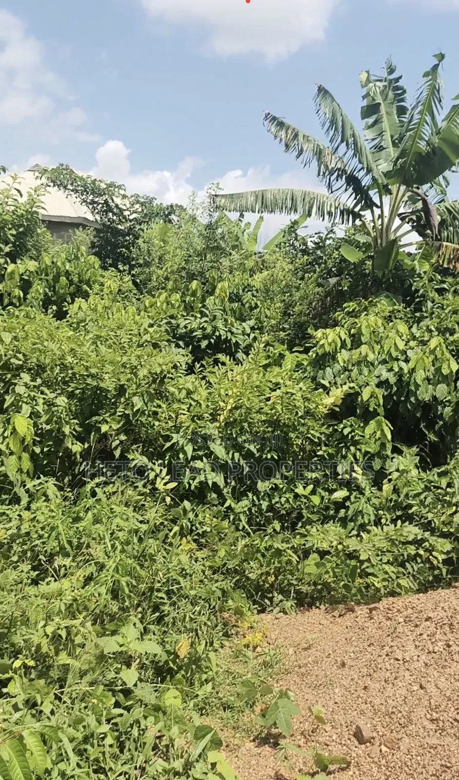 A Plot Half of Land for Sale at Elenu Sonso Ibadan