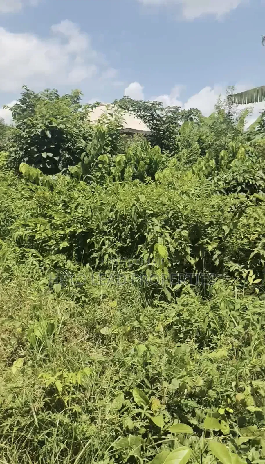 A Plot Half of Land for Sale at Elenu Sonso Ibadan