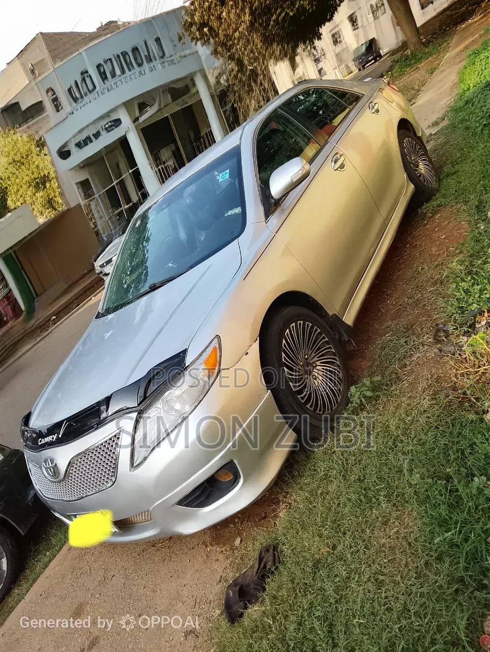 Toyota Camry 2010 Silver