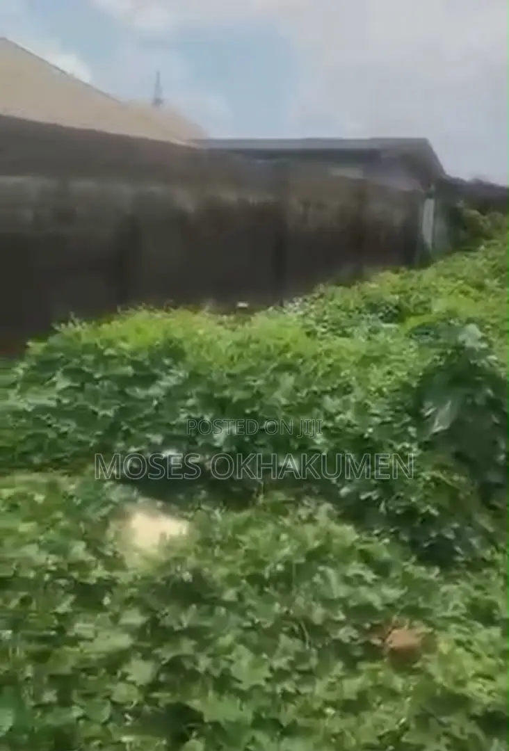 Prime Investment Opportunity Location: Idimu, Egbeda, Lagos