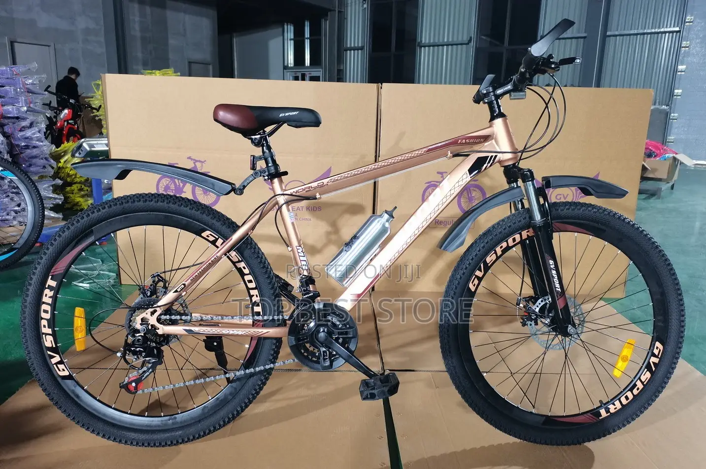 High Quality Adult Bicycle