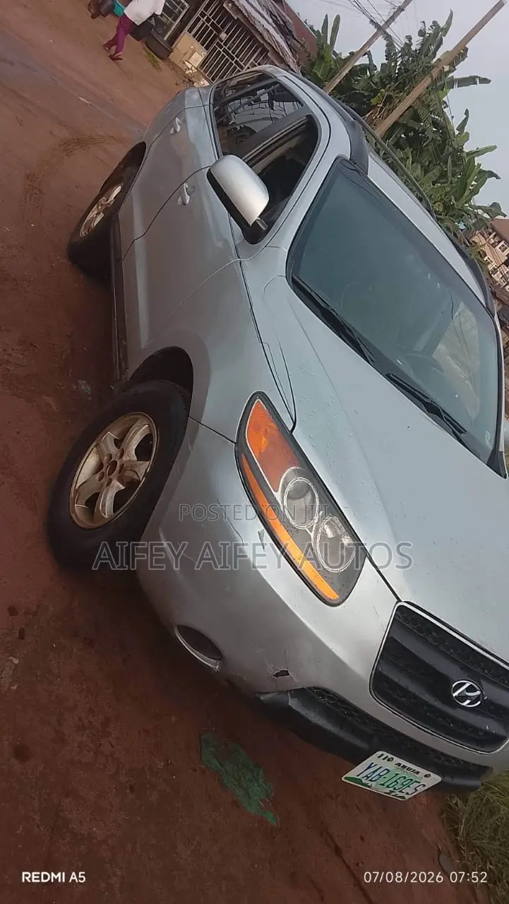 Hyundai Santa Fe 2010 Gray
