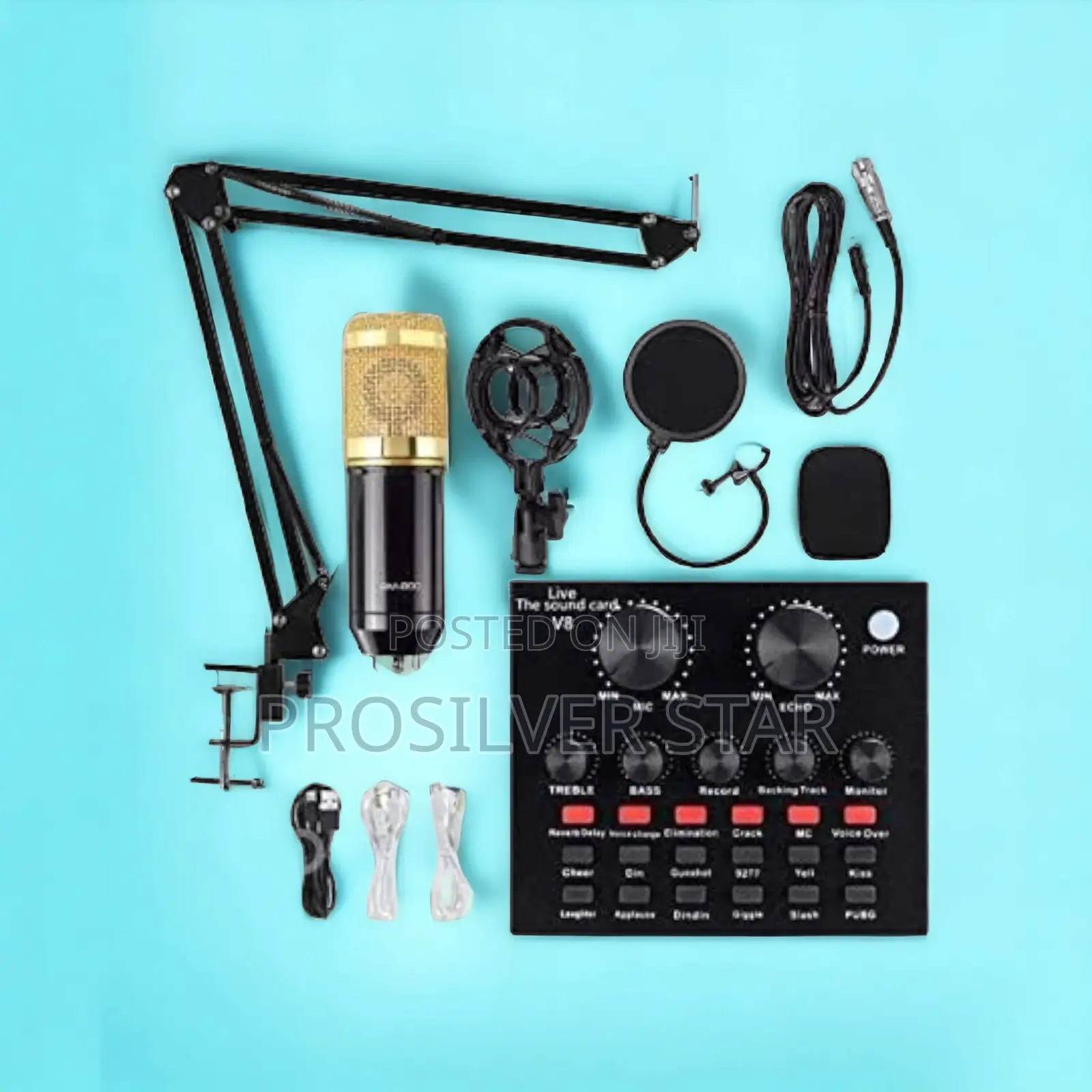 Bm 800 Professional Microphone Recording Kit