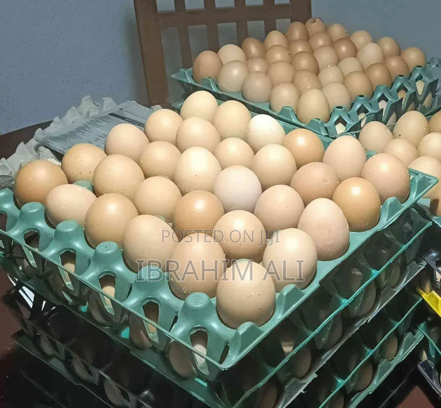 Eggs in Crates