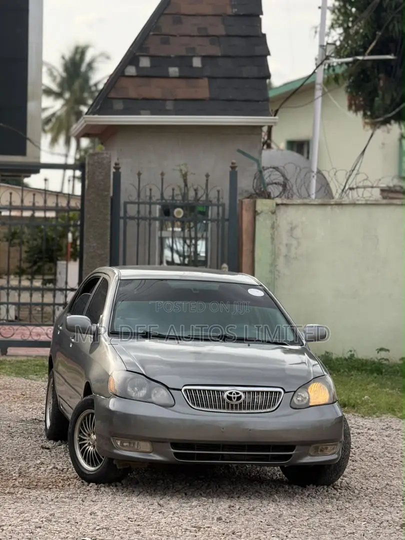 Toyota Corolla 2004 Gray