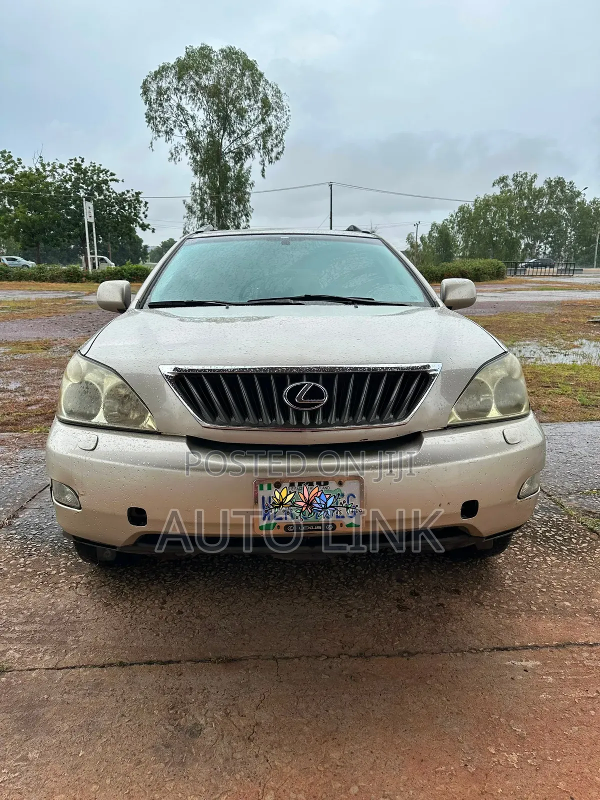Rx330 Suv Rental
