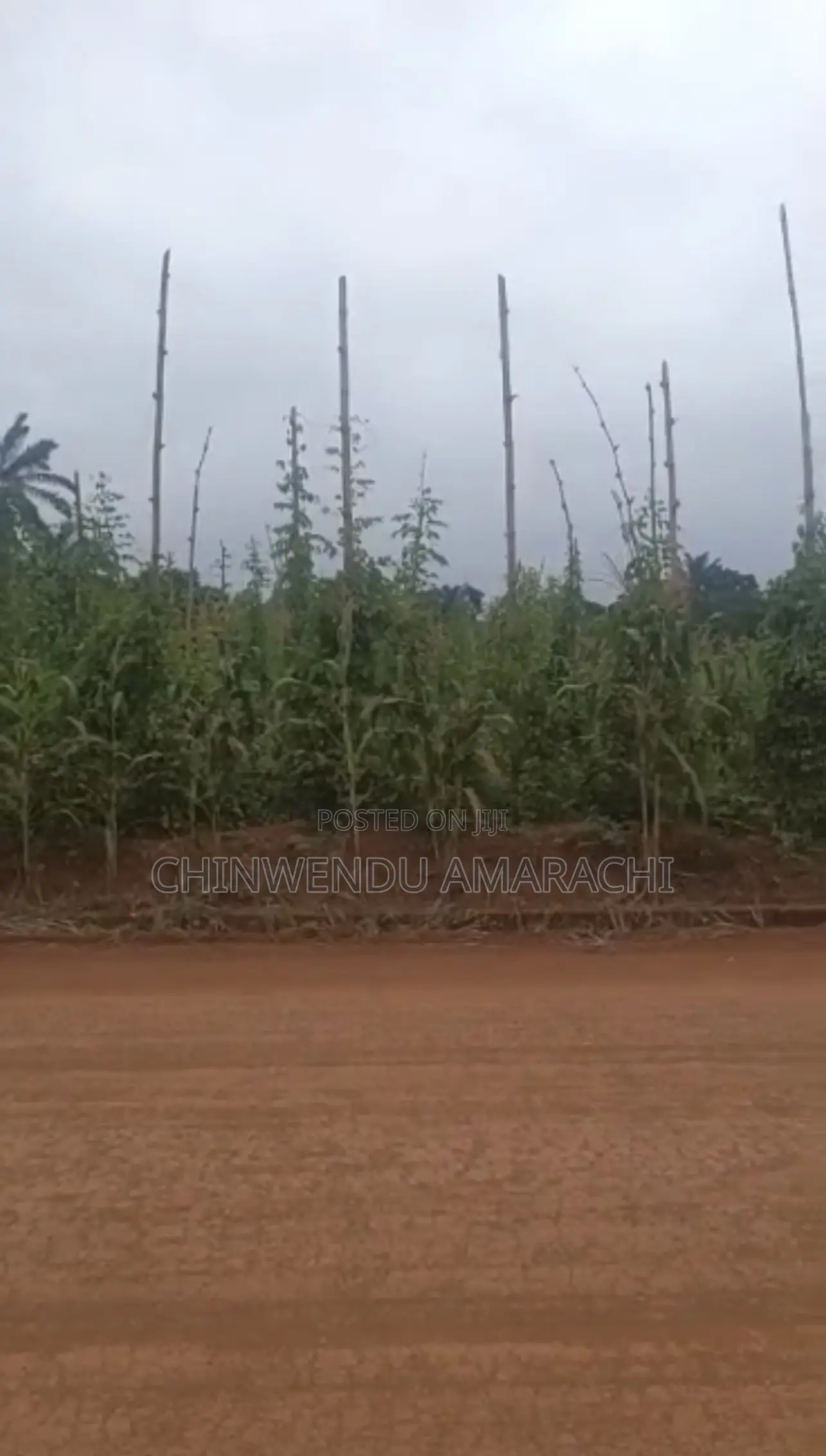 Plots of Land for Sale