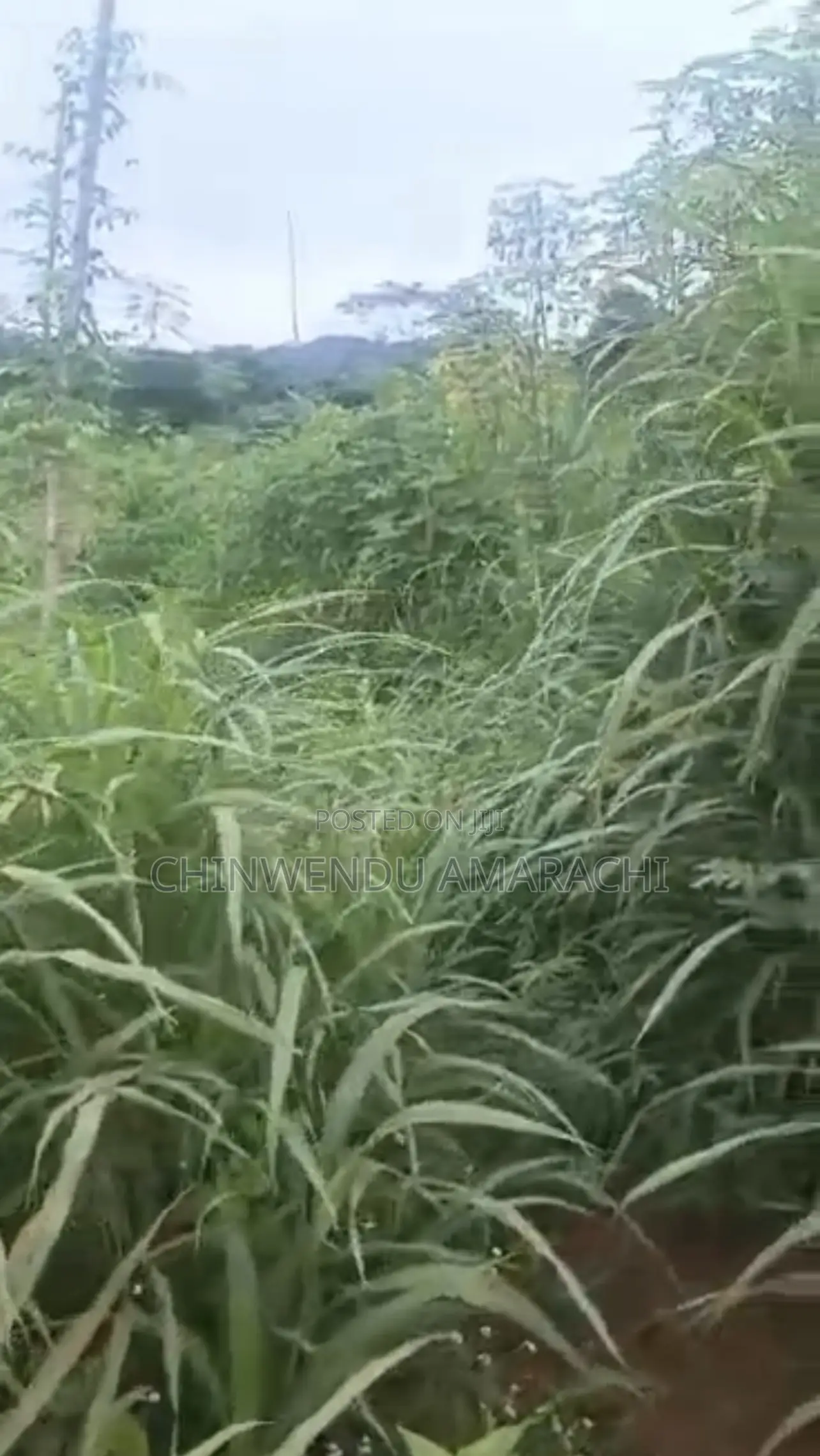 Plots of Land for Sale