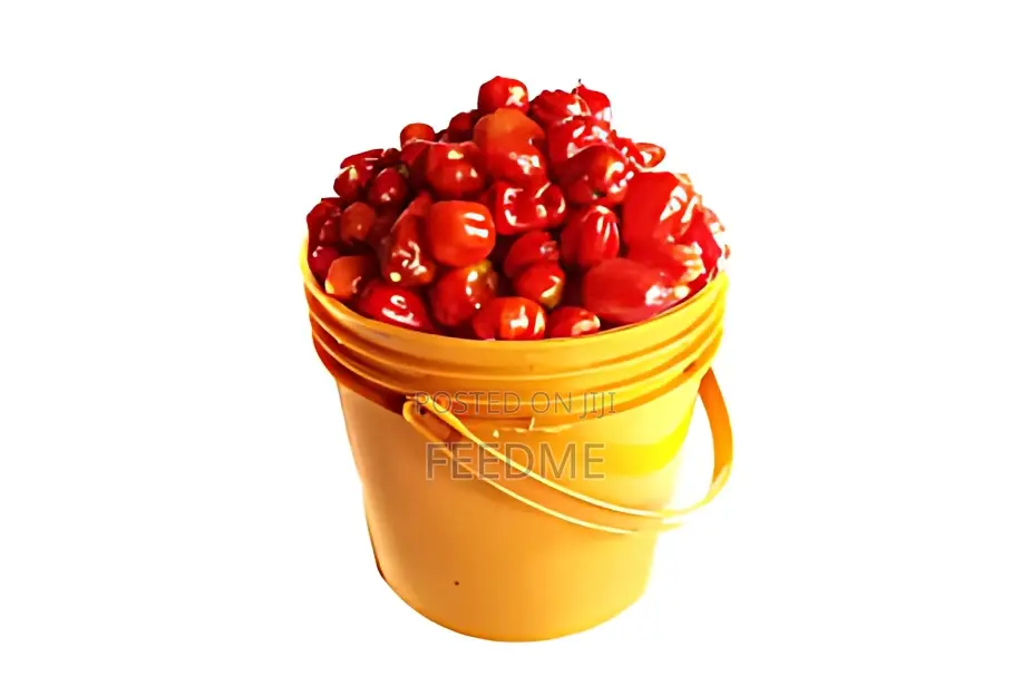 Habanero Pepper