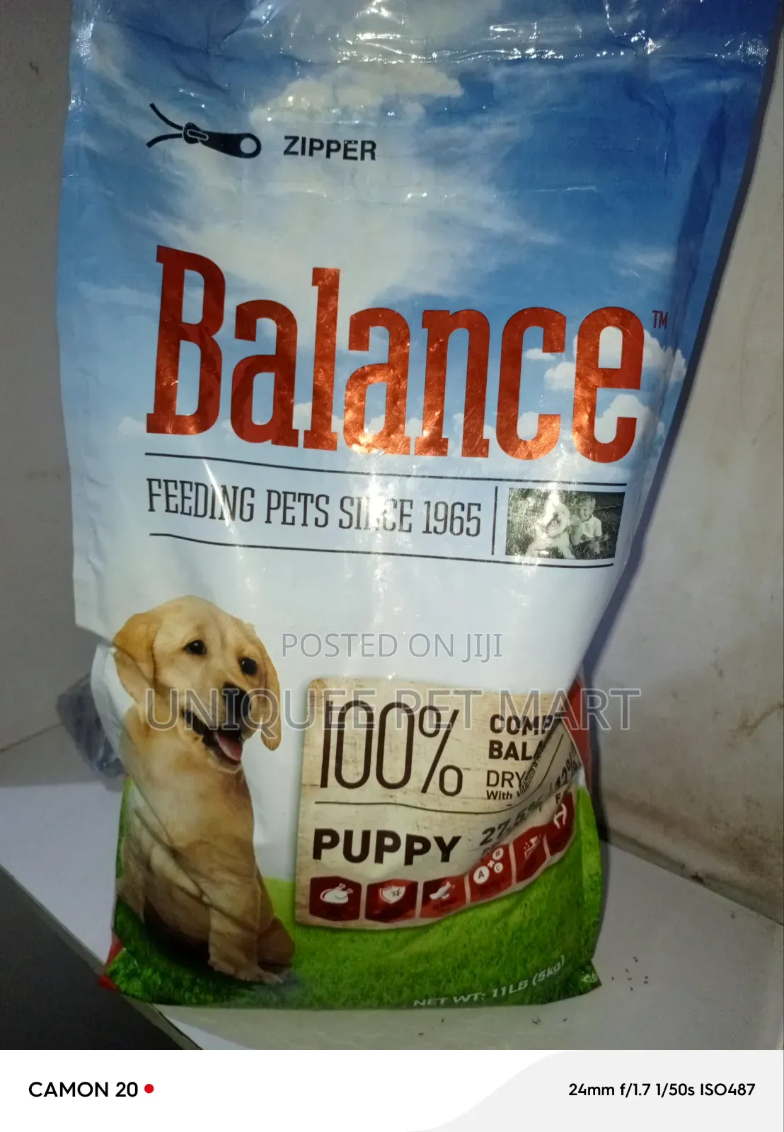 Balance Puppy