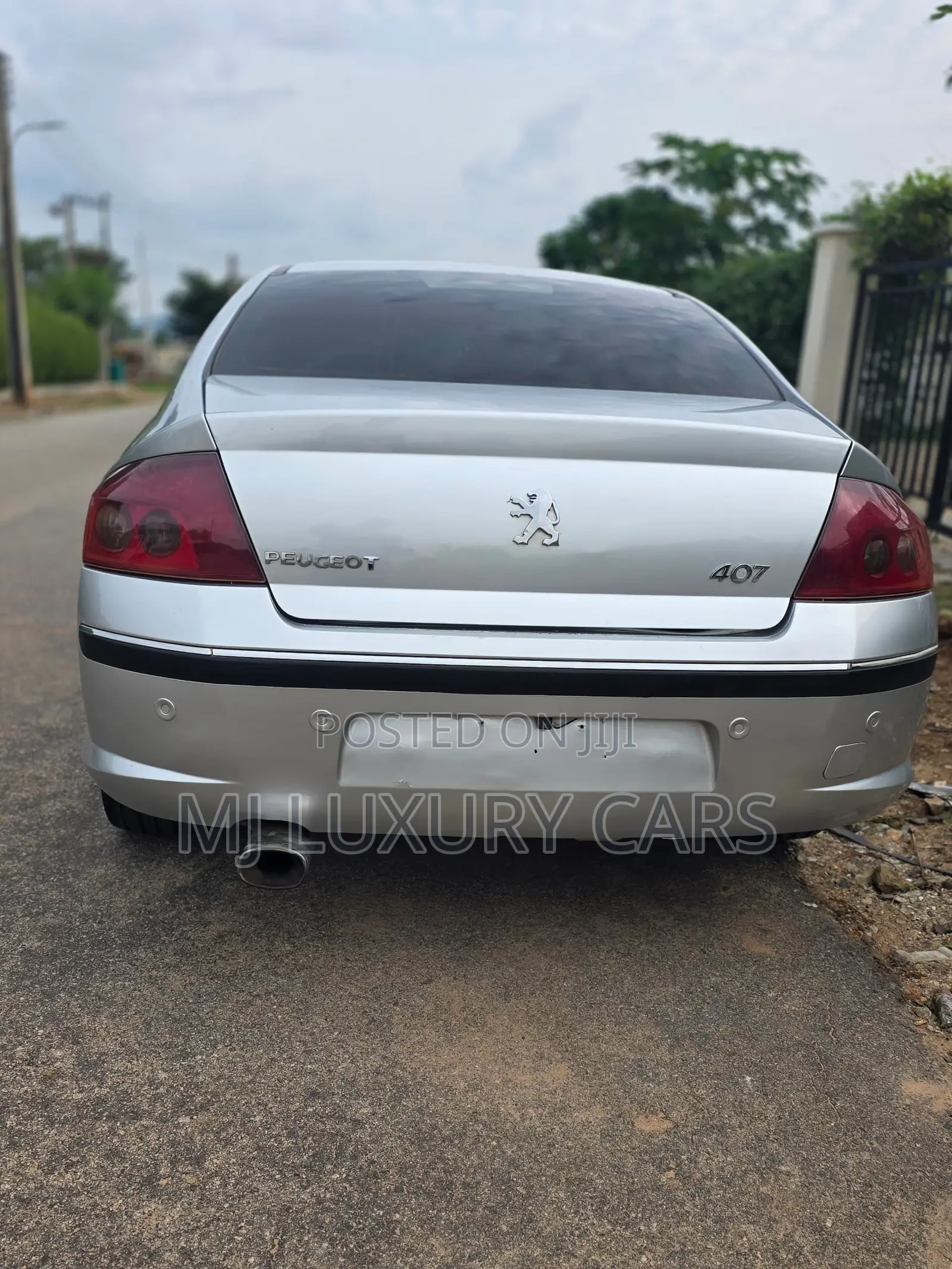 Peugeot 407 2007 Silver