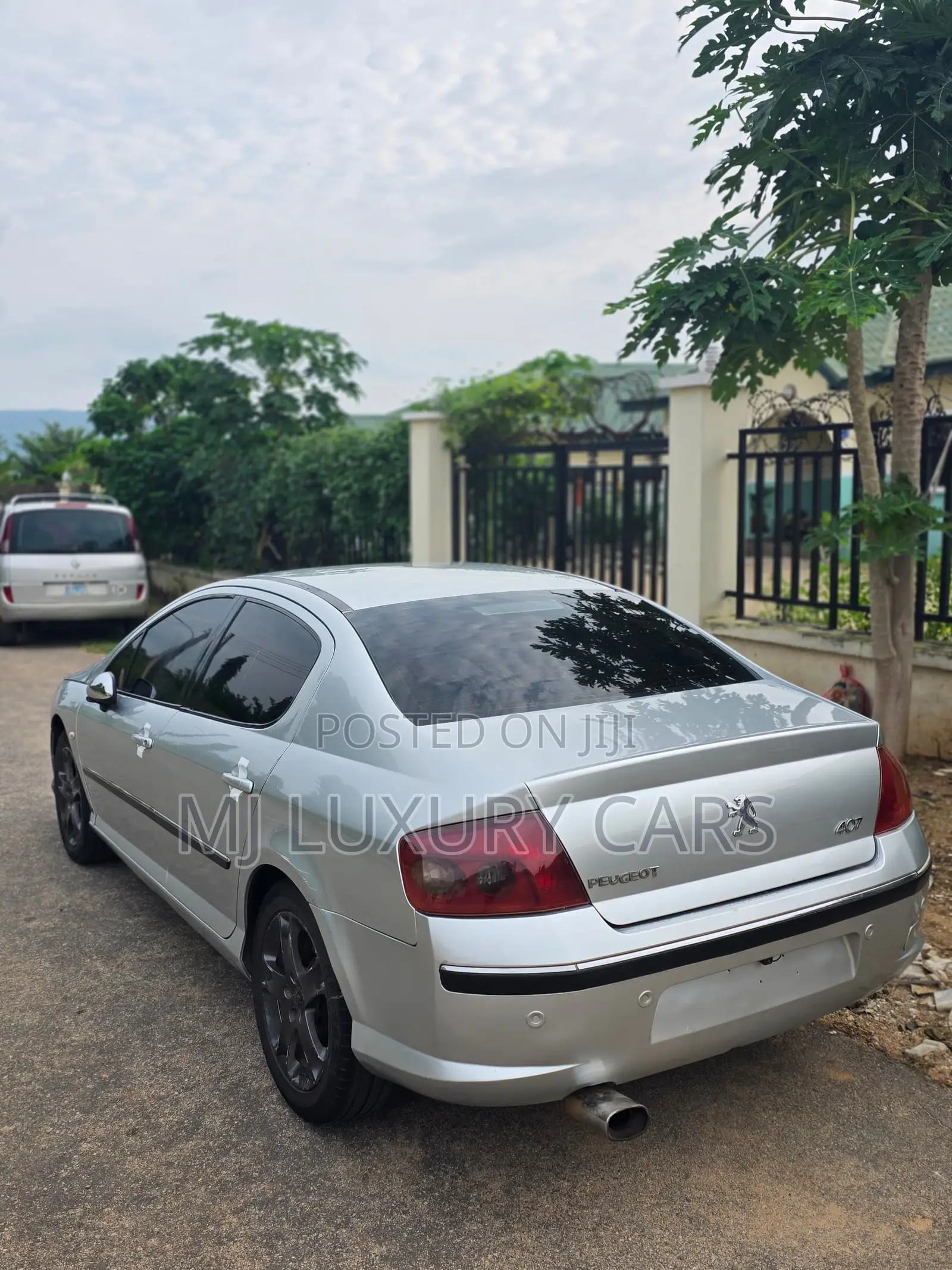 Peugeot 407 2007 Silver