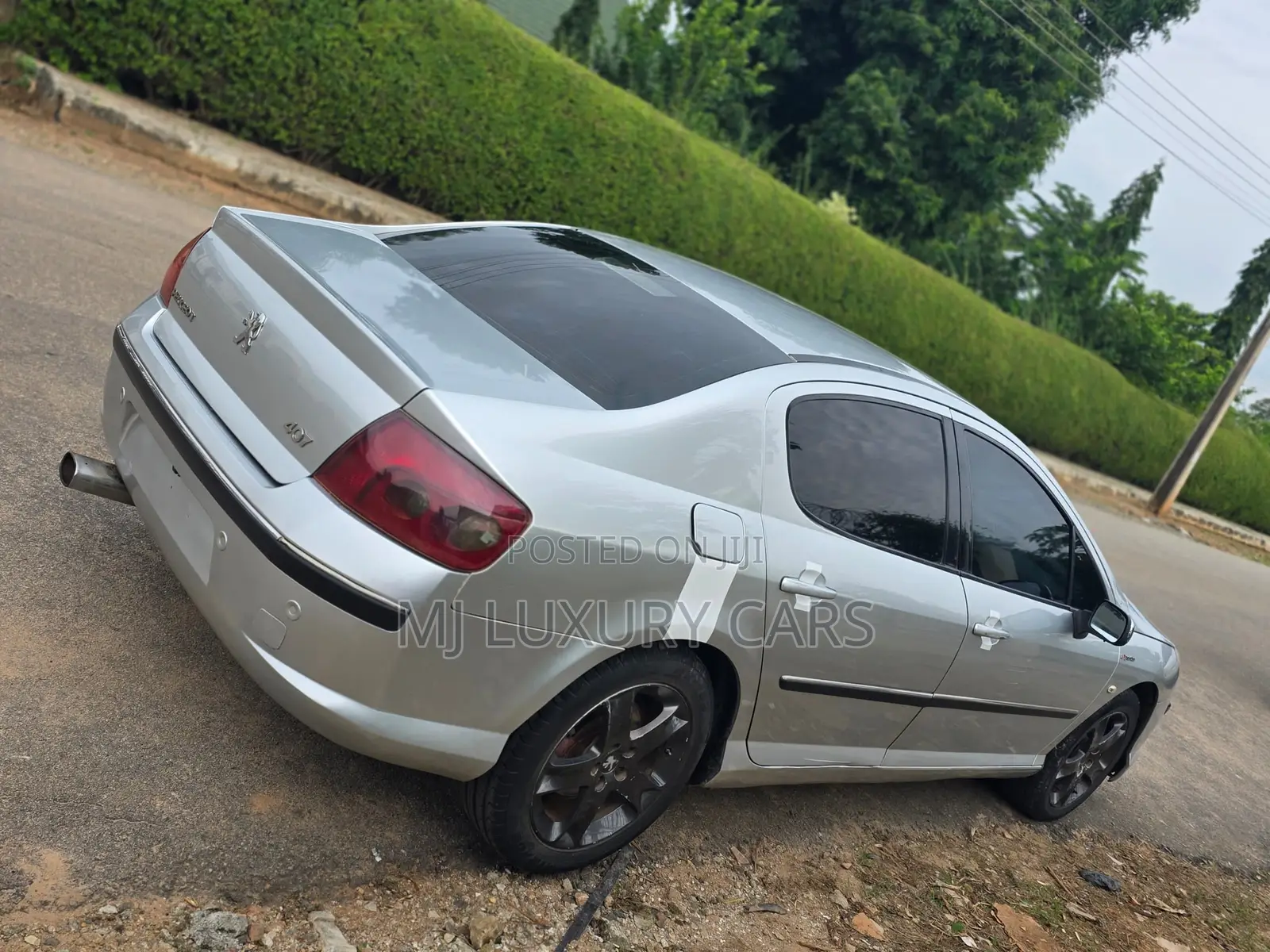 Peugeot 407 2007 Silver