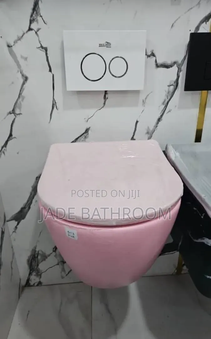 Concealed Wc Pink