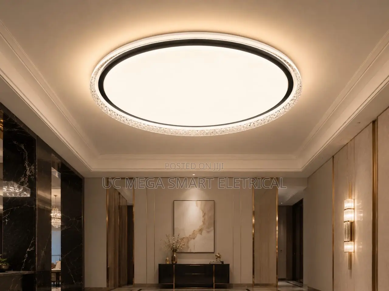 Nordic Minimalist Led Ceiling Light Circular Remote Control Chandelier