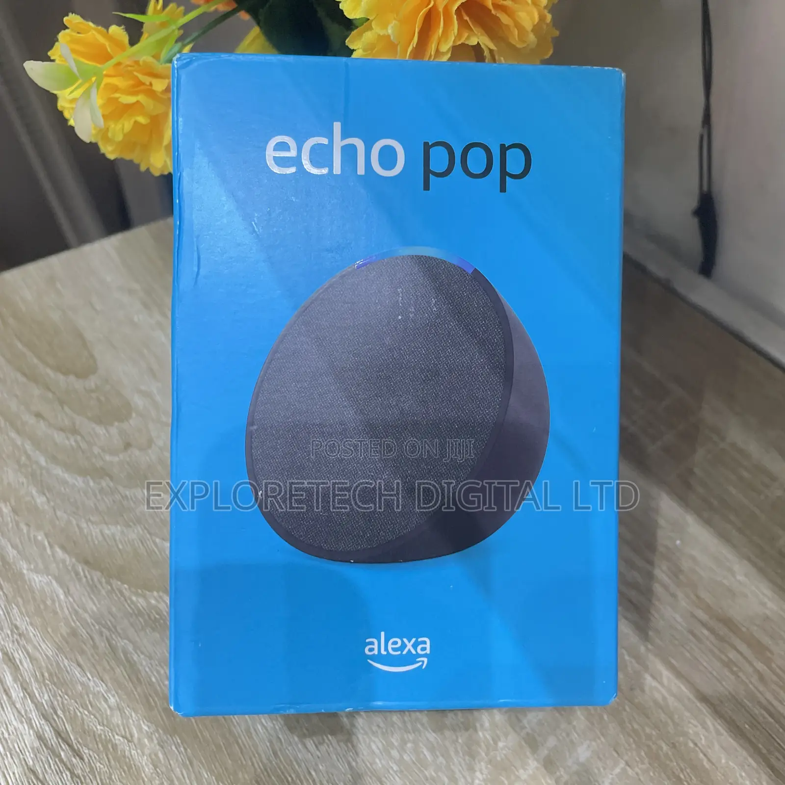 Alexa Echo Pop
