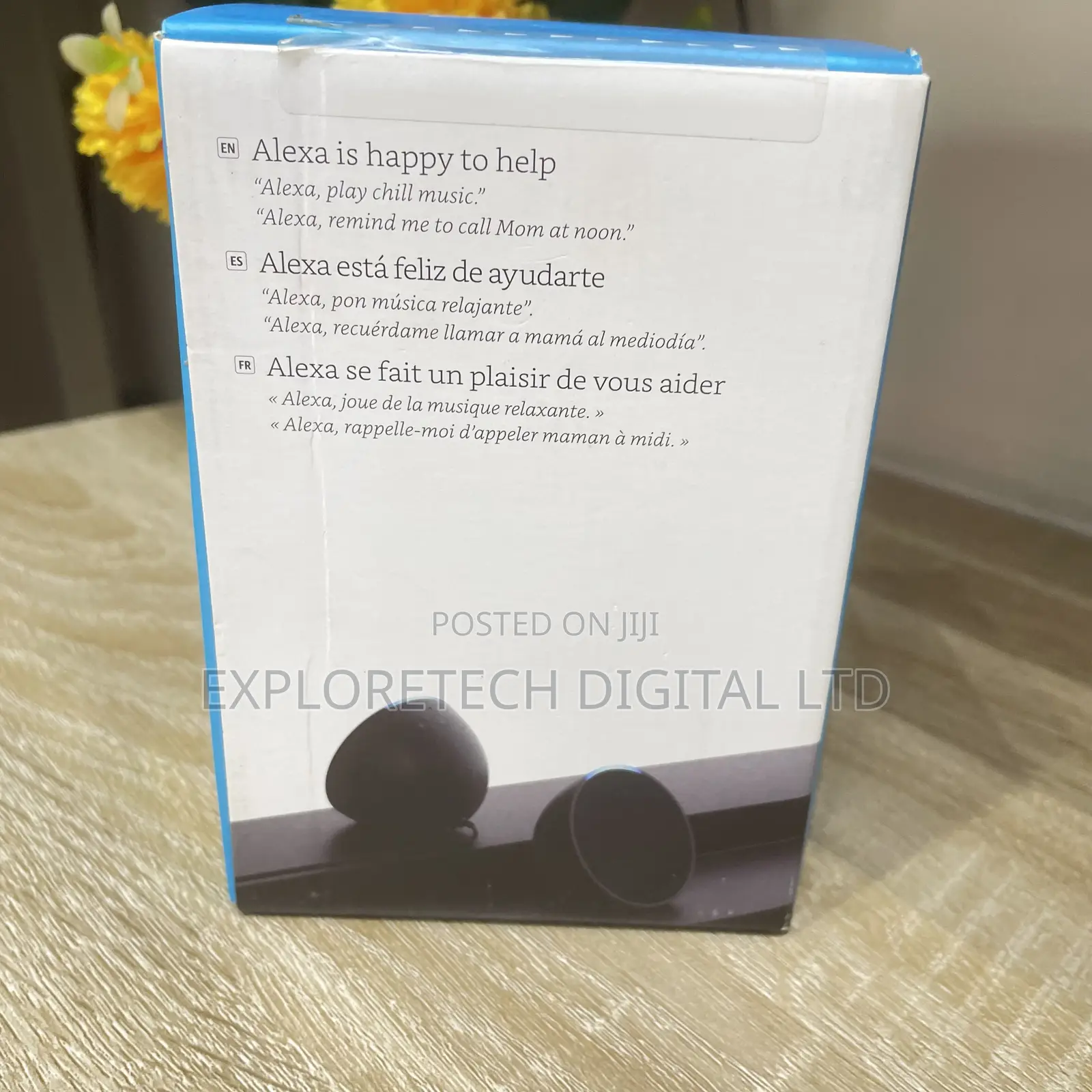 Alexa Echo Pop