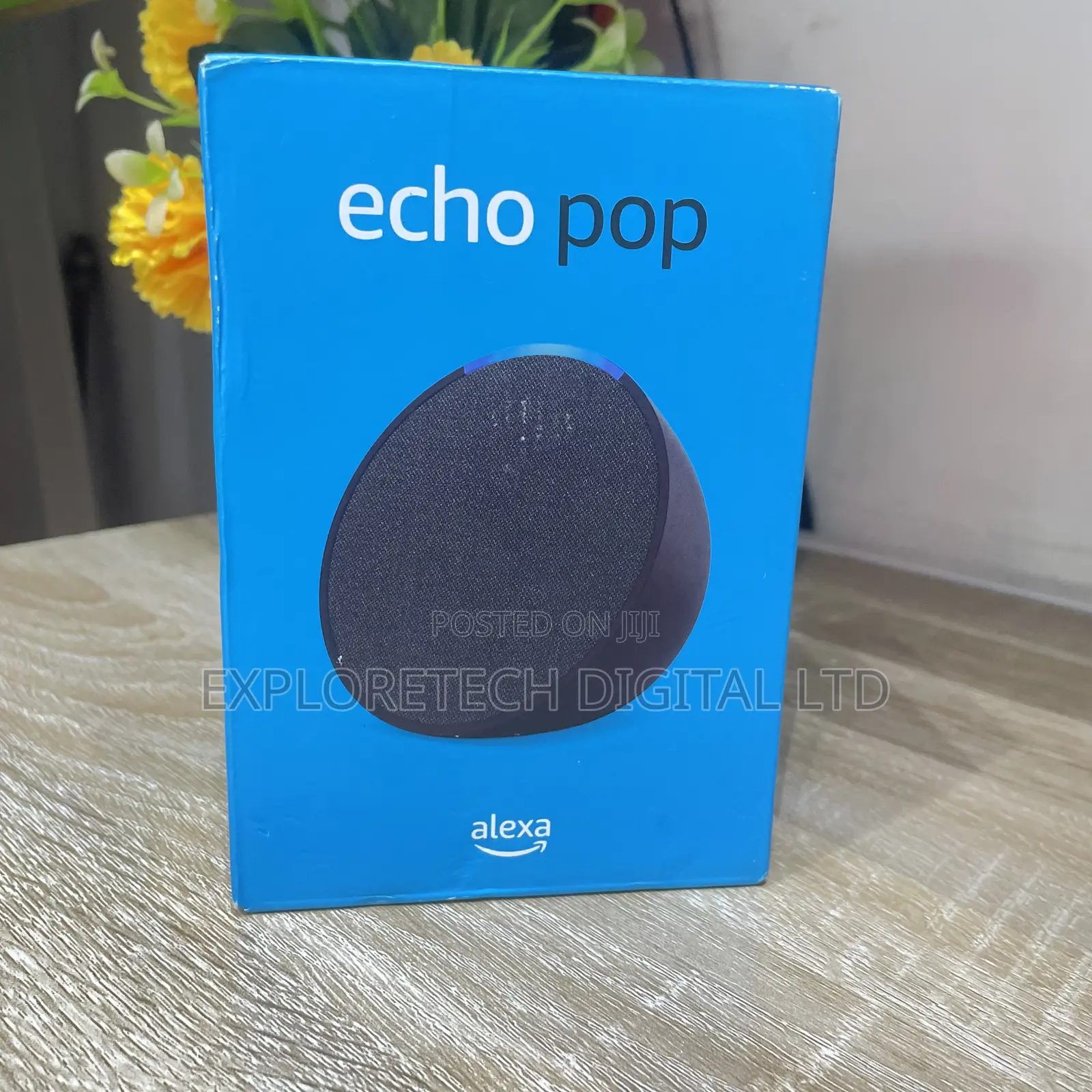 Alexa Echo Pop