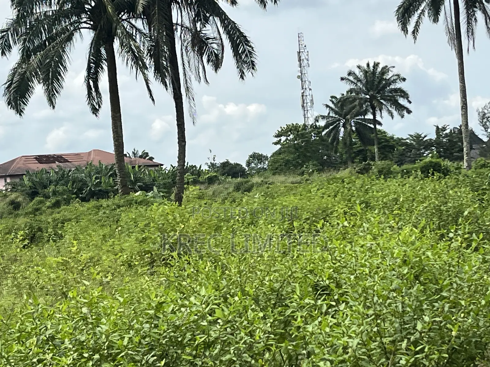 1plot of Land on Eneka Express
