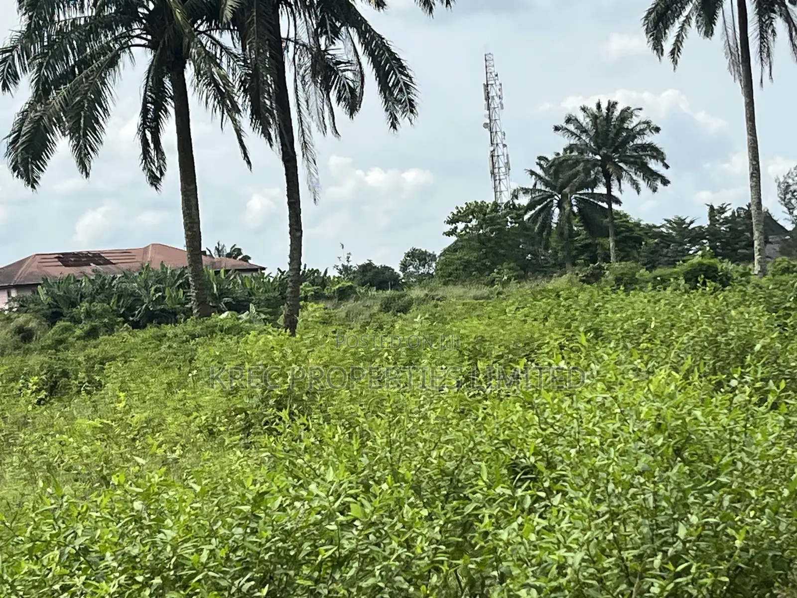 1plot of Land on Eneka Express