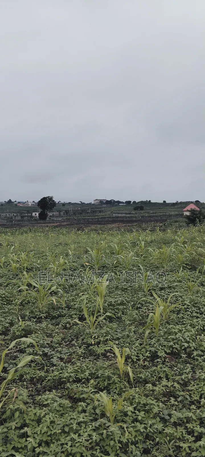 Filling Station Plot for Saale