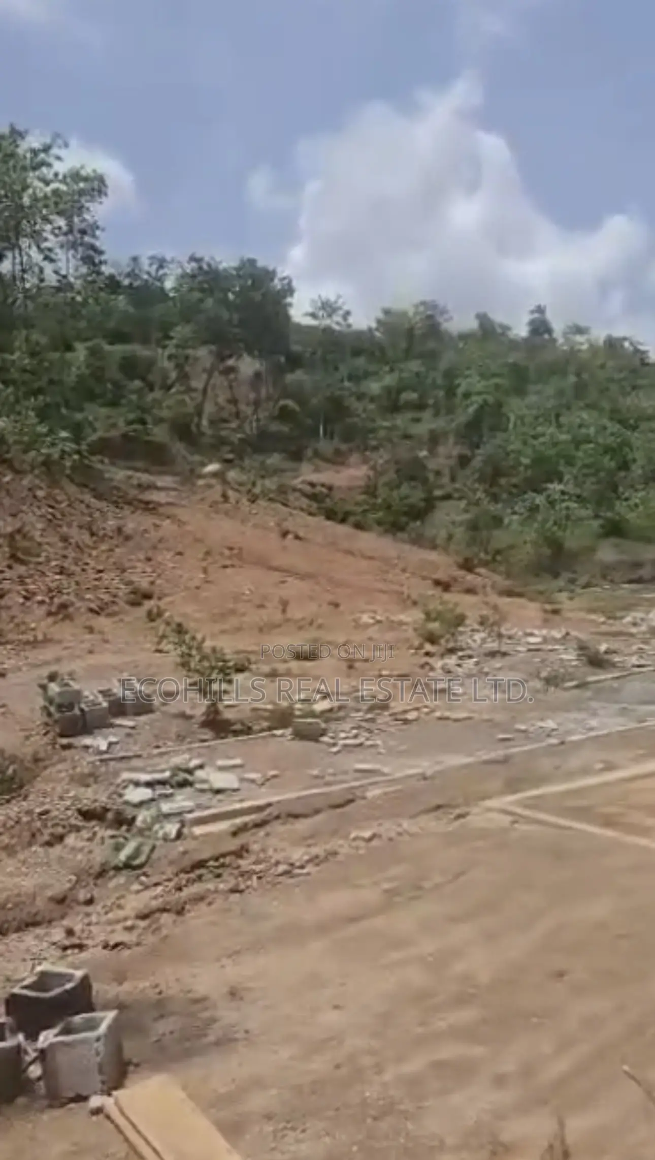 111 Hectares