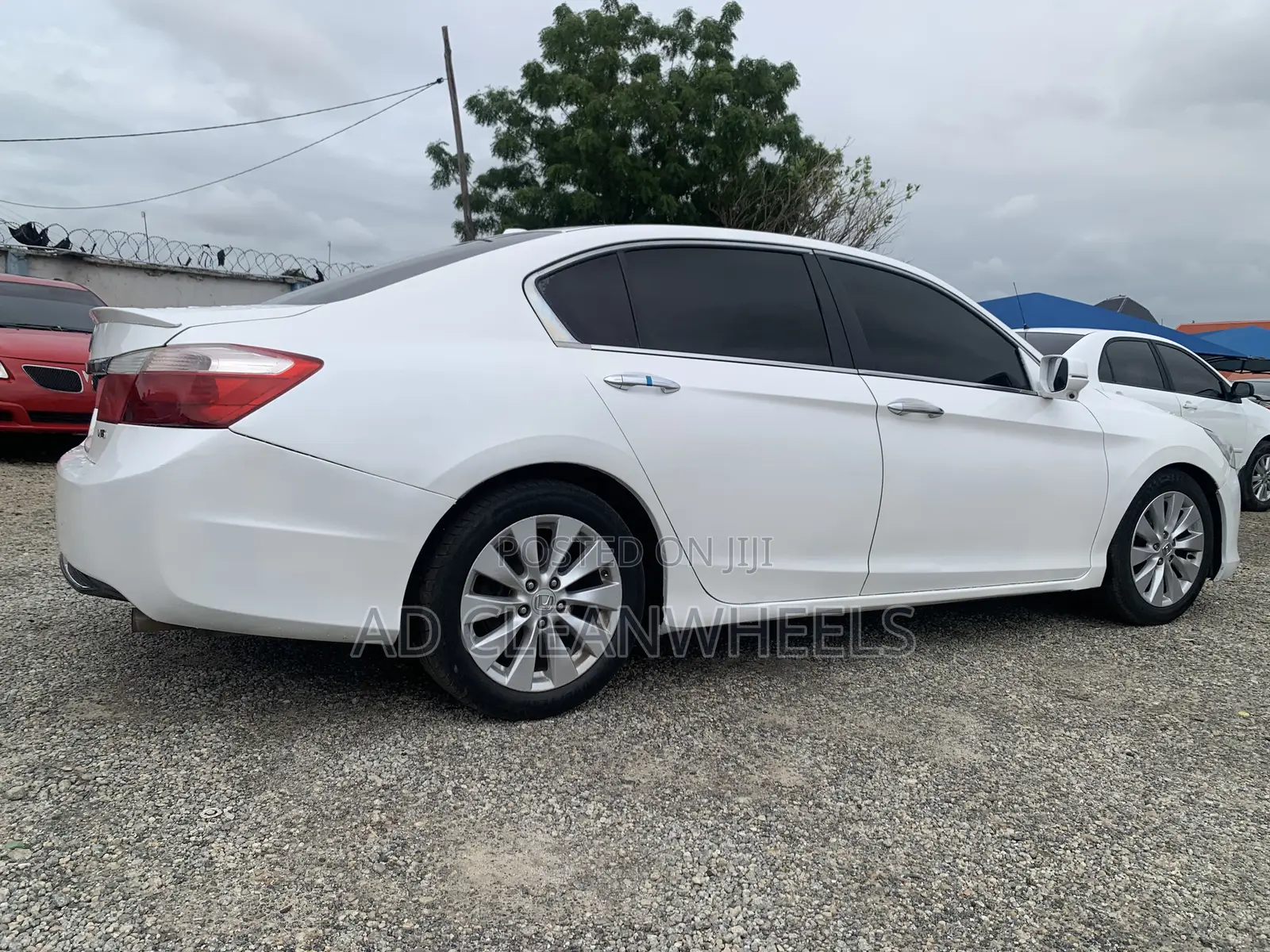 Honda Accord EX-L V-6 4dr Sedan w/Navigation (3.5L 6cyl 6A) 2014 White