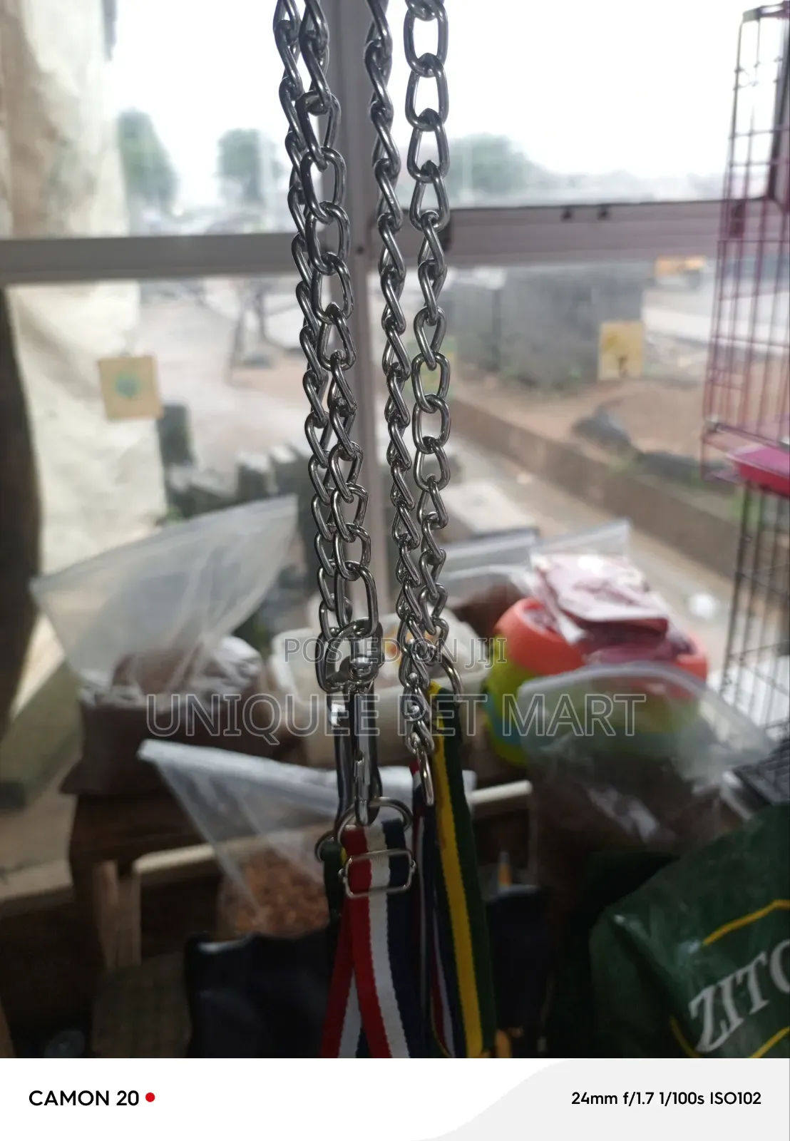 Puppy Chain and Collar Dog Leash