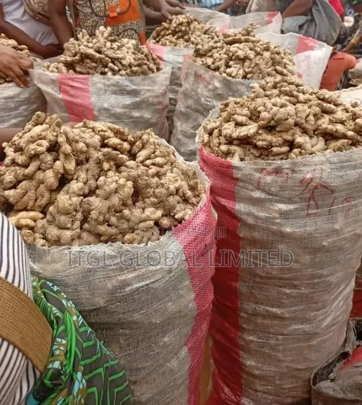 GINGER for Sale, Most Premium One. Nigerian Highest Quality Ginger
