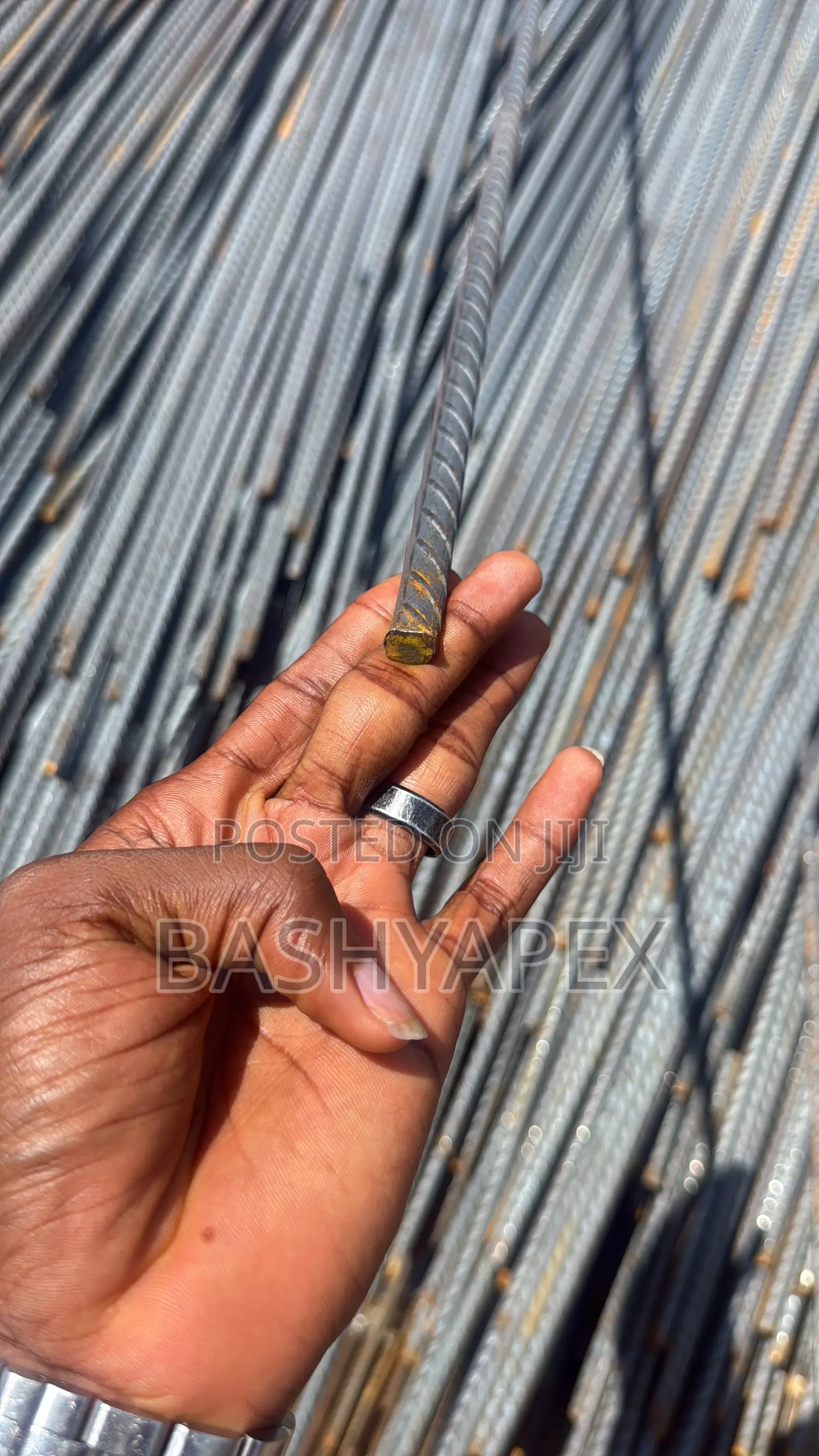 Rebar Lion, Lci, Phx, SFS TMT Reinforcement Iron Rods TMT