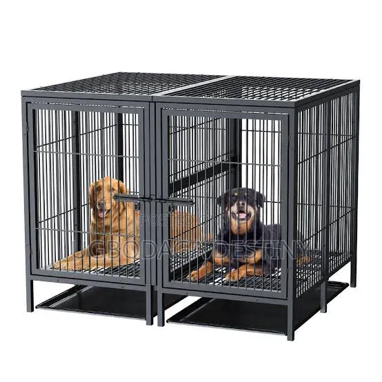 Doge Cage Iron