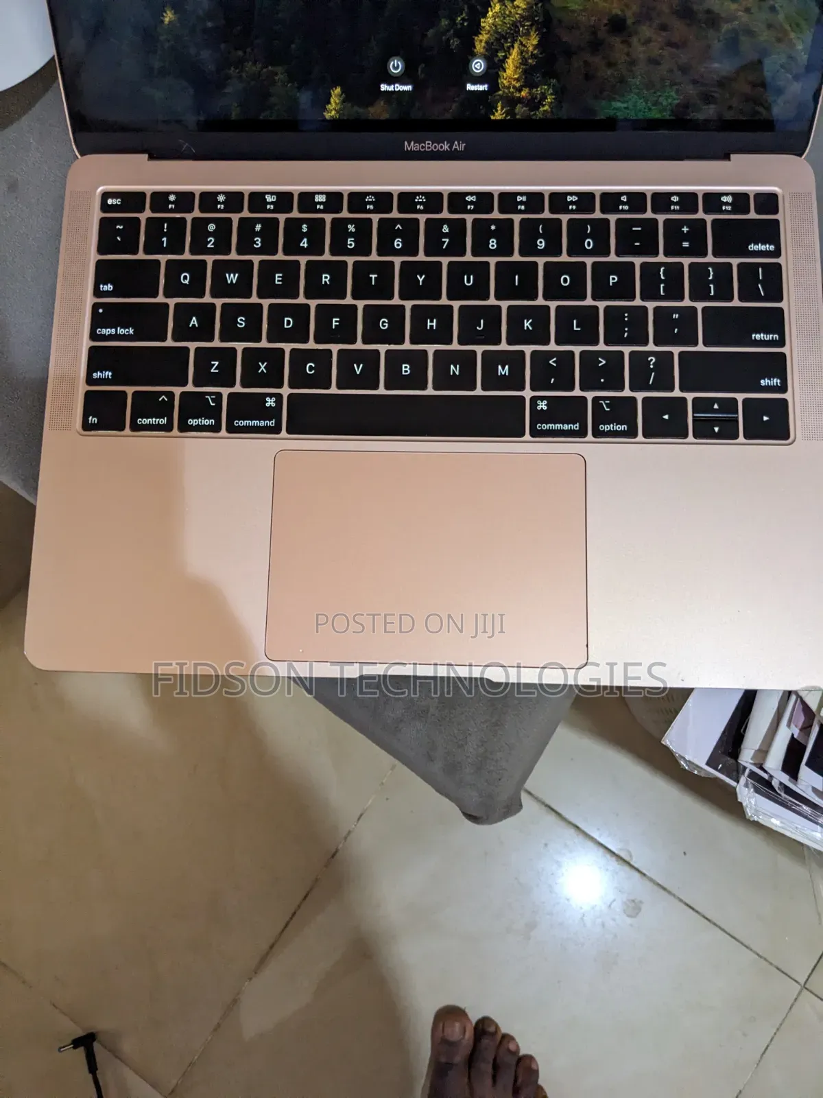 Laptop Apple MacBook Air 2018 8GB Intel Core i5 SSD 128GB