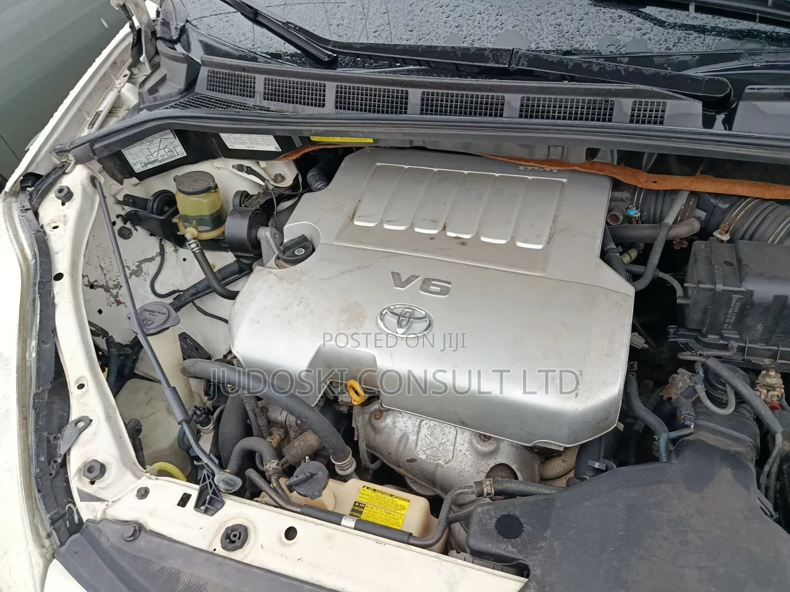 Toyota Sienna 2009 White