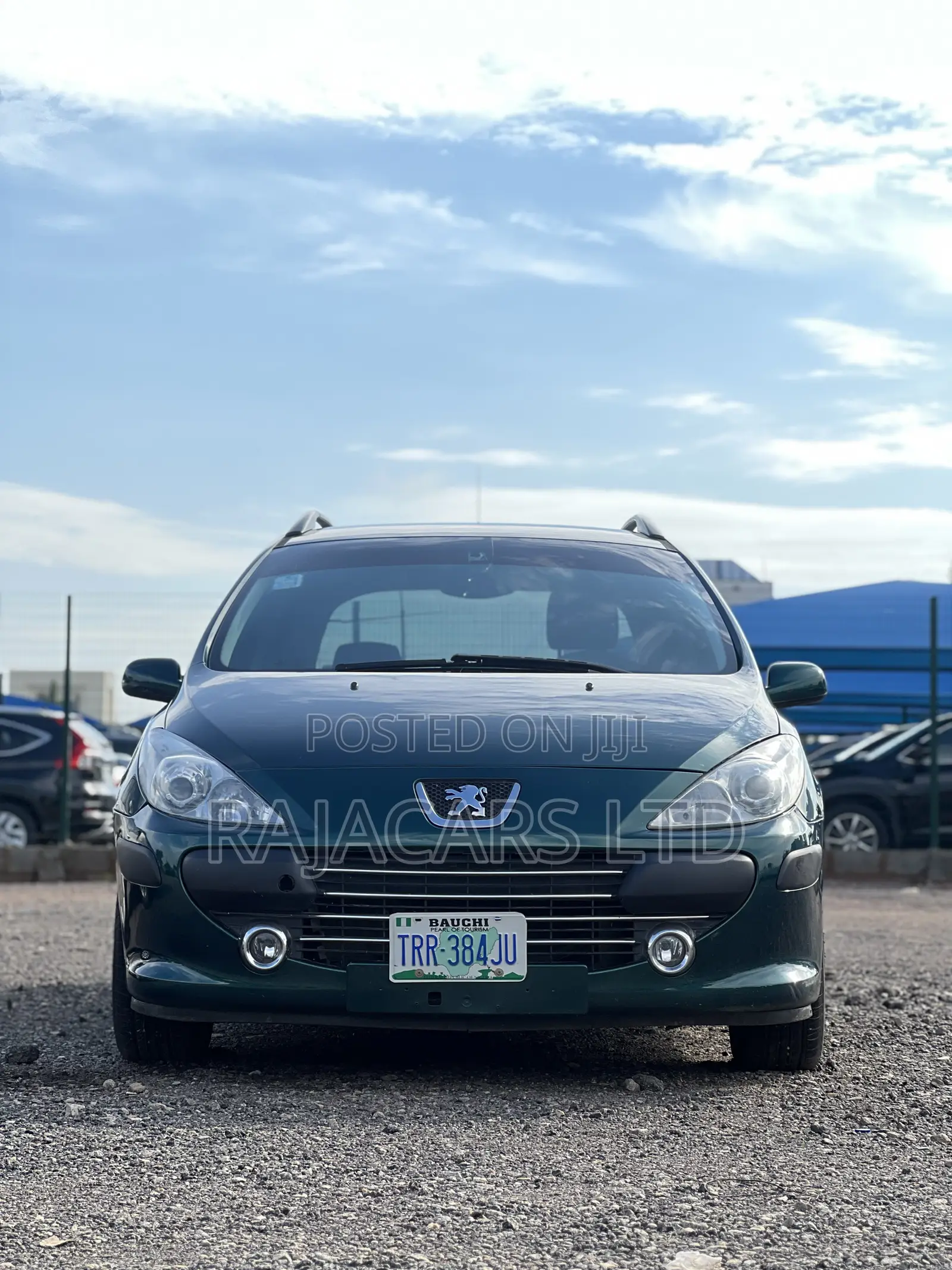 Peugeot 307 2.0 Premium 2005 Green