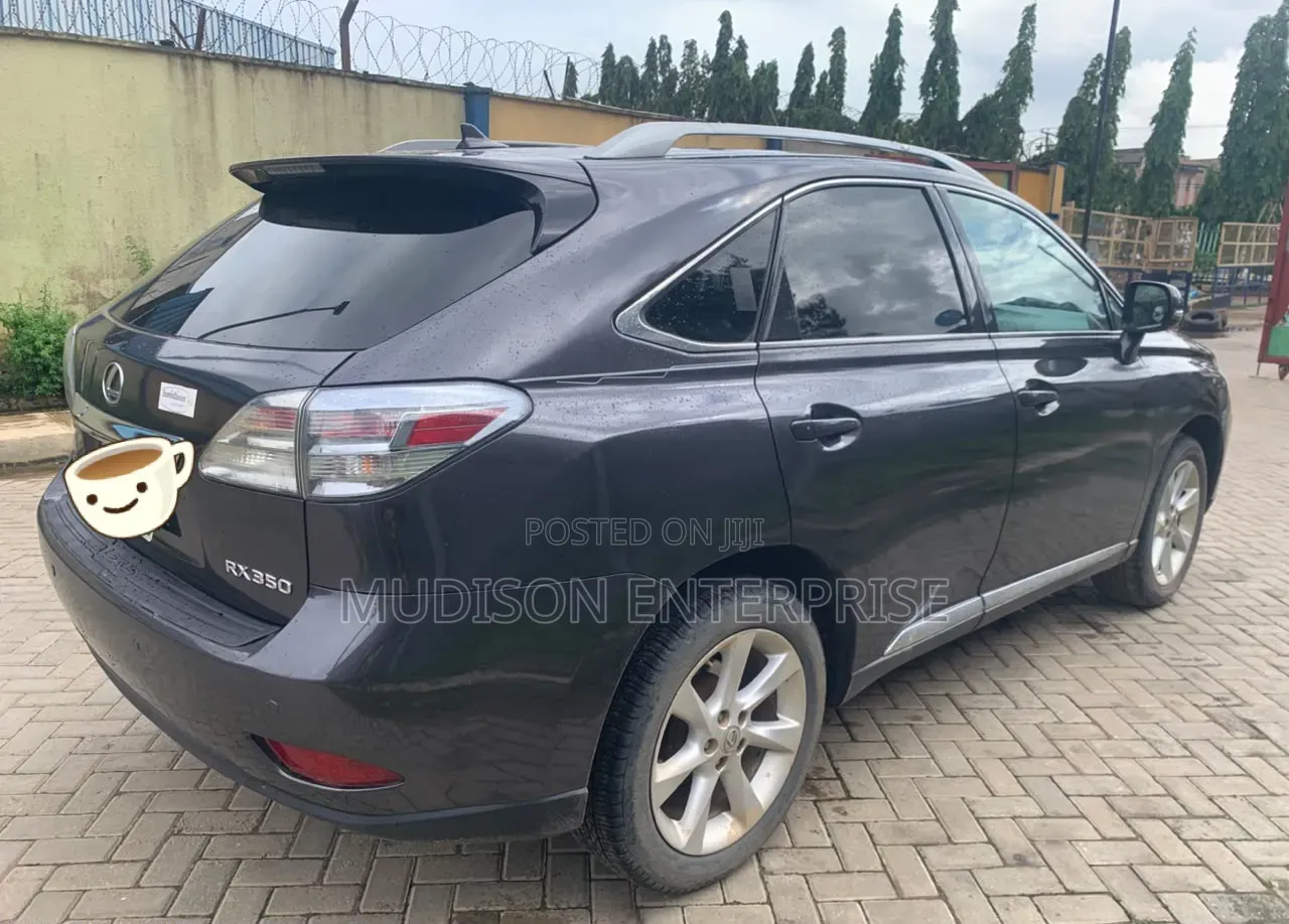 Lexus RX 2010 Black