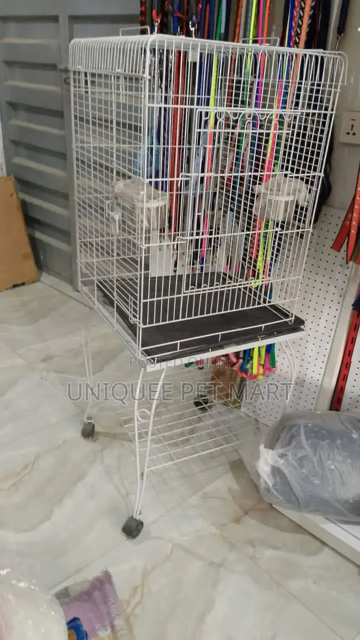 Bird Cage Bird, Parrot Cage