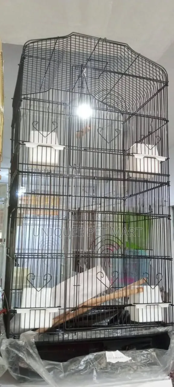 Bird Cage Bird, Parrot Cage