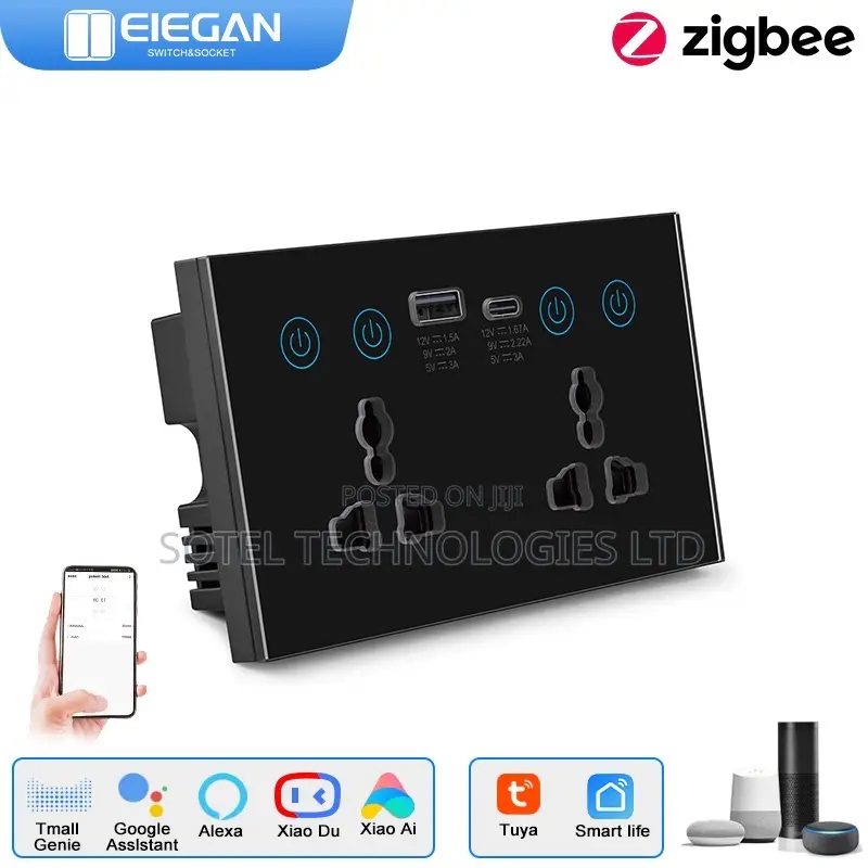 2 Way Smart Socket Wifi Tuya Smart Life Alexa