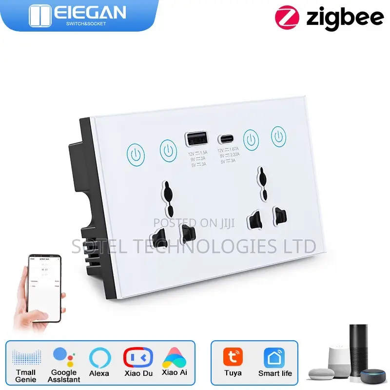 2 Way Smart Socket Wifi Tuya Smart Life Alexa