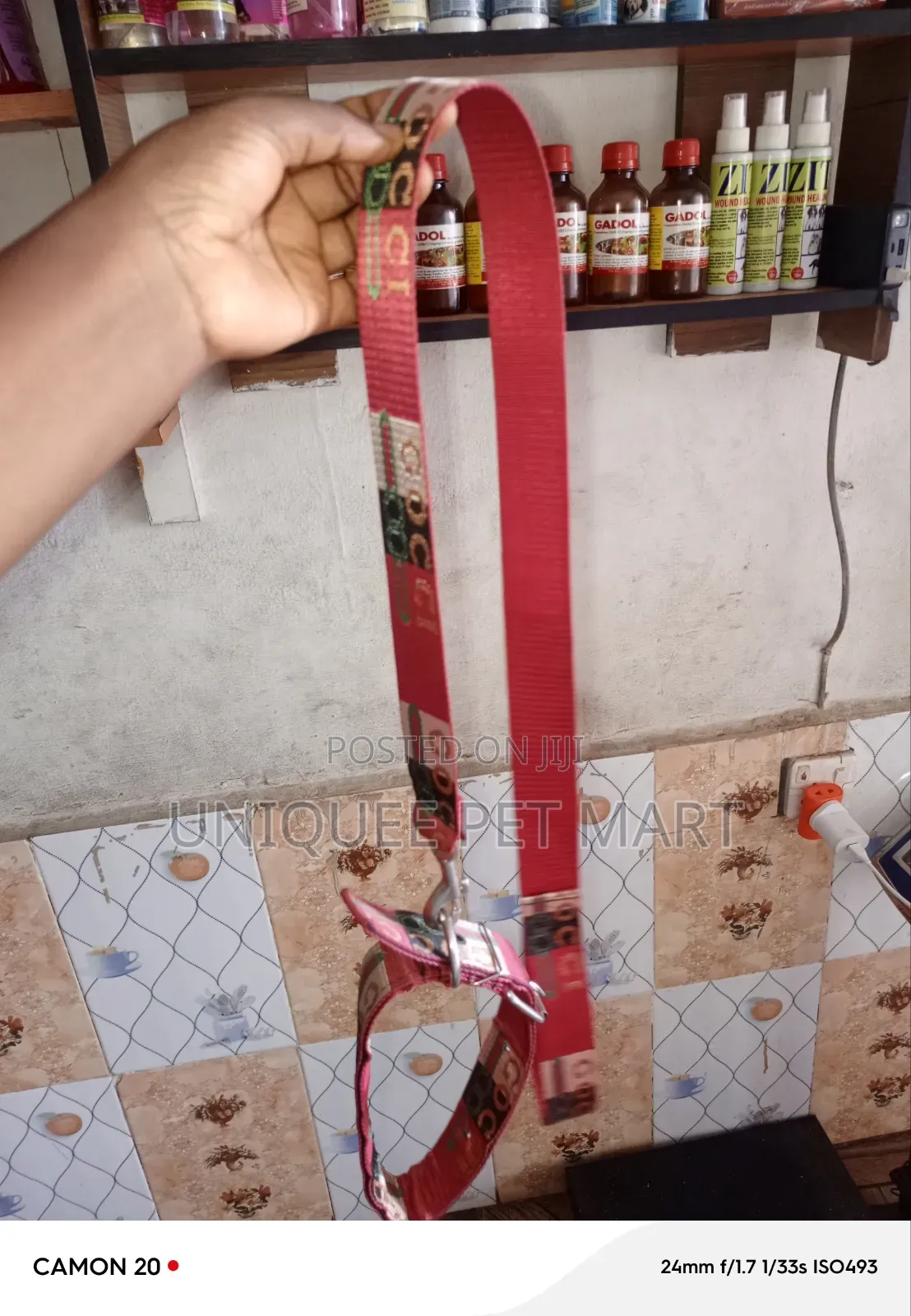 Jumbo Chain and Collar