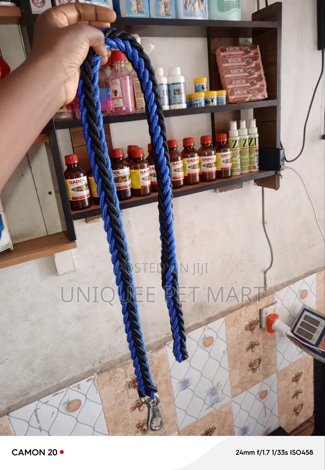 Jumbo Chain and Collar