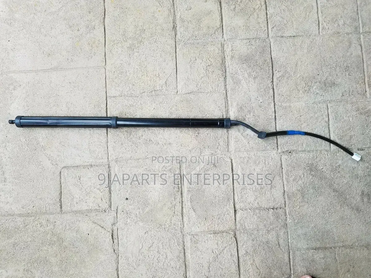 2016 - 2022 Lexus Rx350 Boot Tailgate Shock Power Lift Right Side