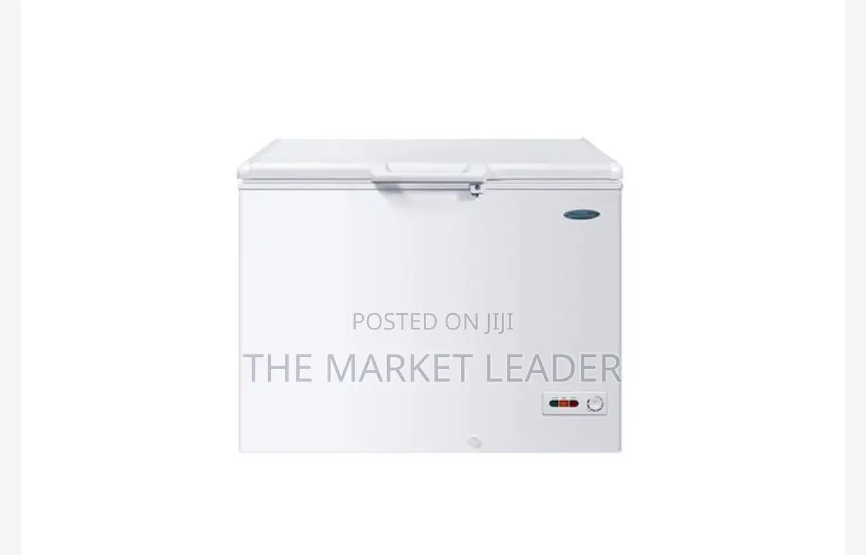 Thermocool Inverter Freezer 219 R6 White